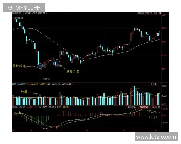 昂热与图卢兹对决前瞻分析双方战术特点及近期状态解析 昂热与图卢兹对决前瞻分析双方战术特点及近期状态解析