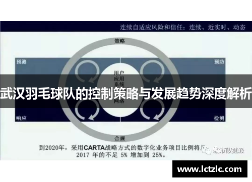 武汉羽毛球队的控制策略与发展趋势深度解析
