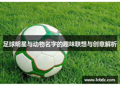 足球明星与动物名字的趣味联想与创意解析