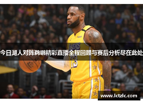 今日湖人对阵鹈鹕精彩直播全程回顾与赛后分析尽在此处