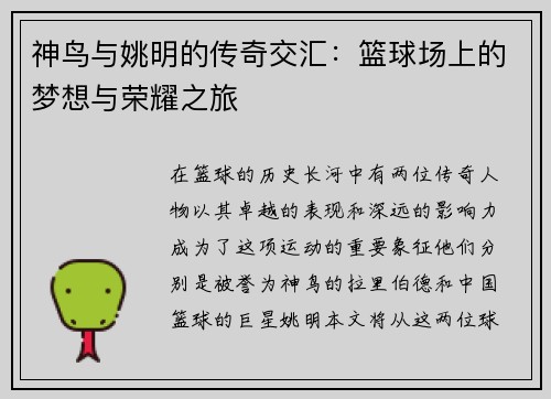 神鸟与姚明的传奇交汇：篮球场上的梦想与荣耀之旅